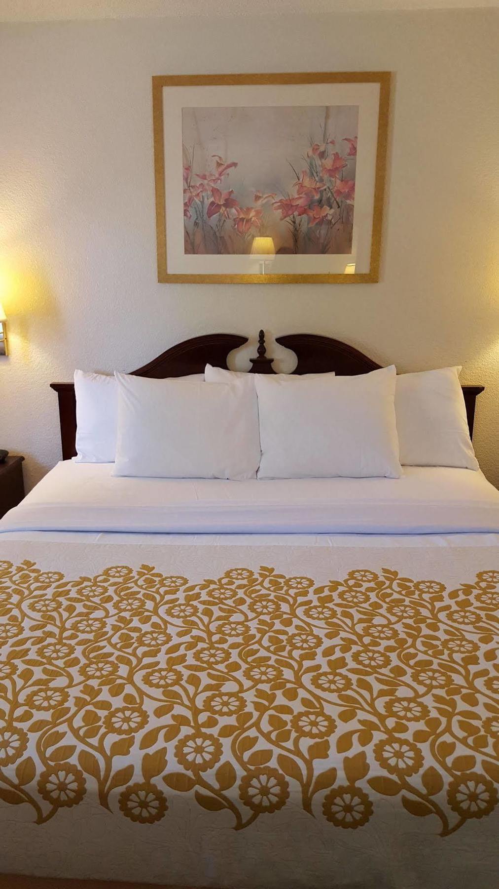 Econo Lodge Cherry Point Havelock Dış mekan fotoğraf